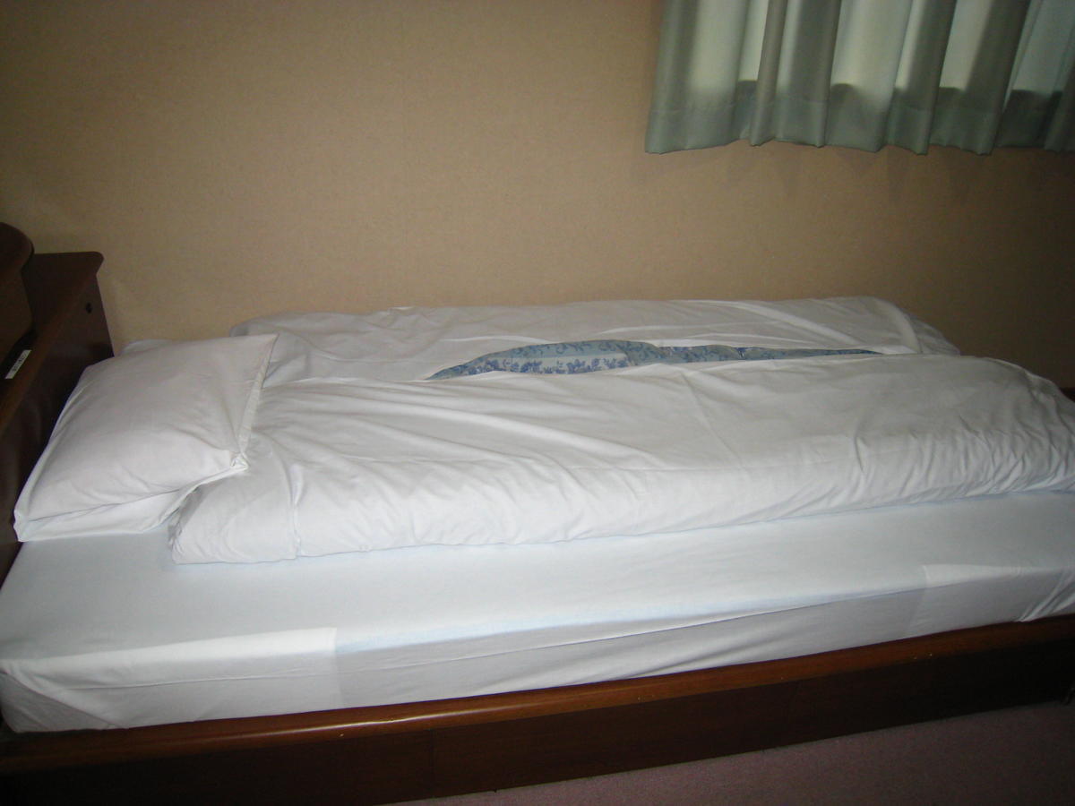 Business Hotel Ojiro Shizuoka Oda fotoğraf